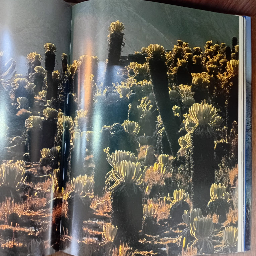 Alta Colombia: el esplendor de la montaña