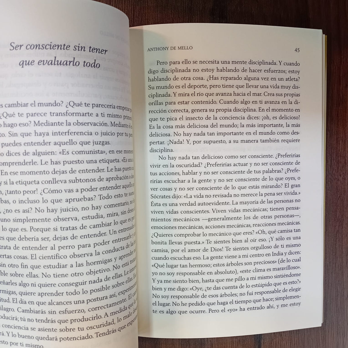 Despierta: peligros y posibilidades de la realidad