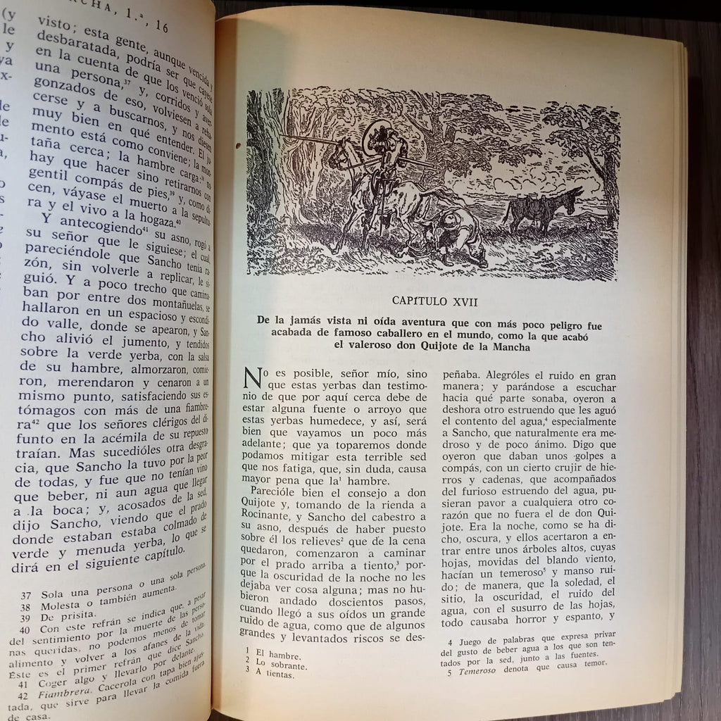 Don Quijote de la Mancha (ilustrado)
