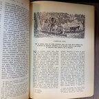 Don Quijote de la Mancha (ilustrado)