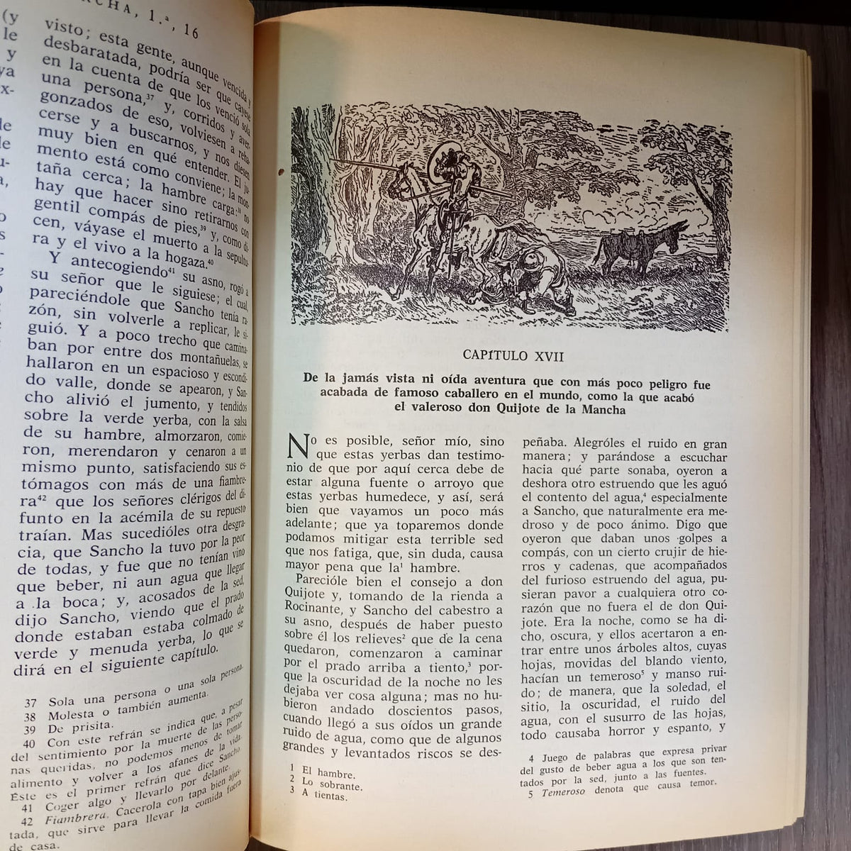 Don Quijote de la Mancha (ilustrado)