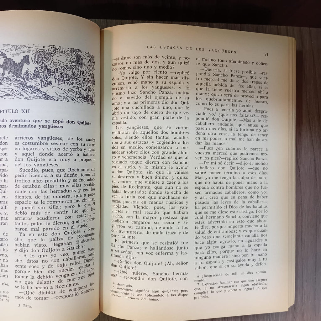Don Quijote de la Mancha (ilustrado)