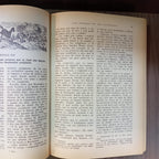 Don Quijote de la Mancha (ilustrado)