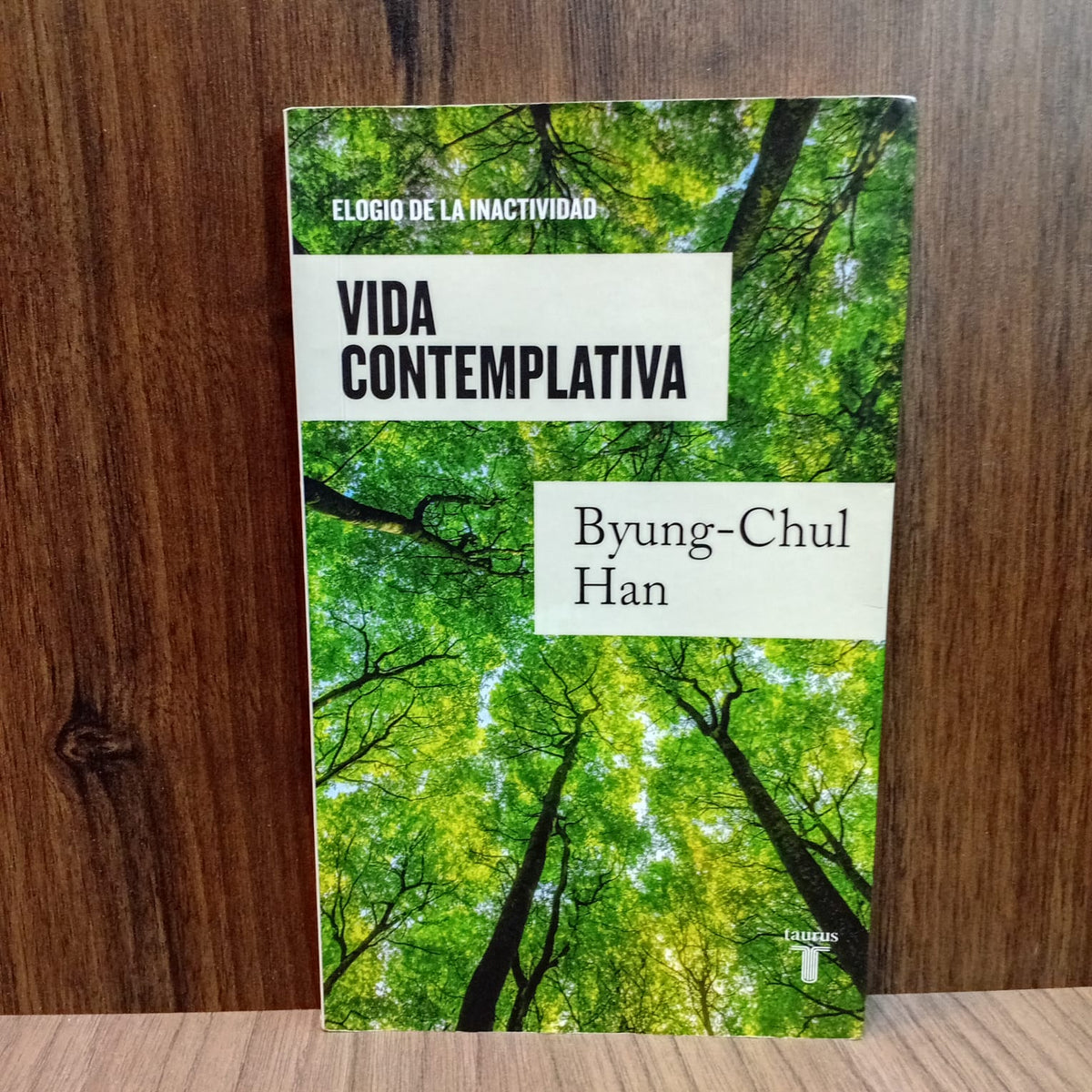 Vida contemplativa: elogio de la inactividad