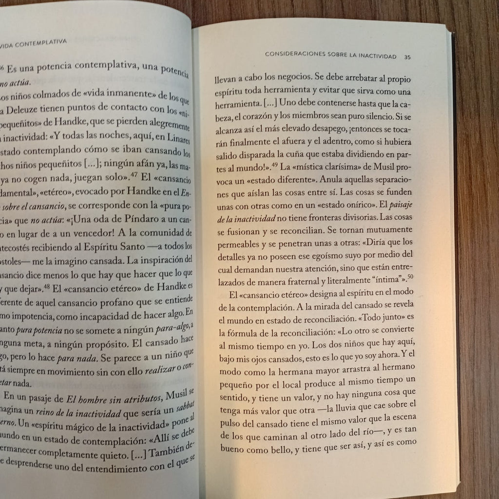 Vida contemplativa: elogio de la inactividad