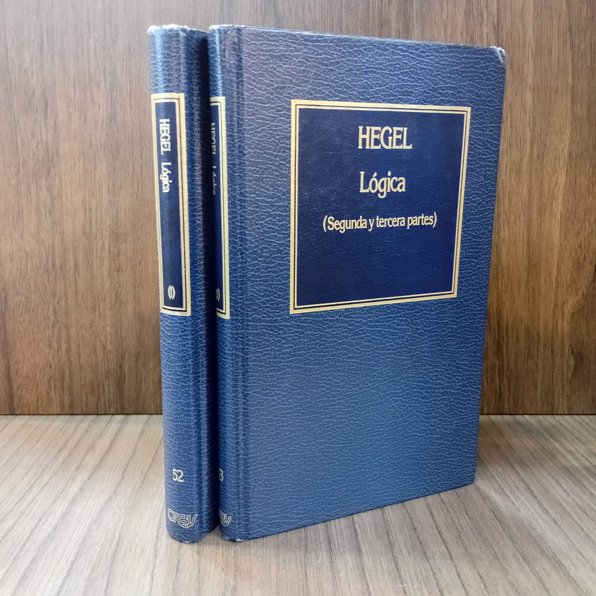 Lógica (2 tomos)