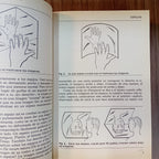 Izquierda y derecha en el cosmos