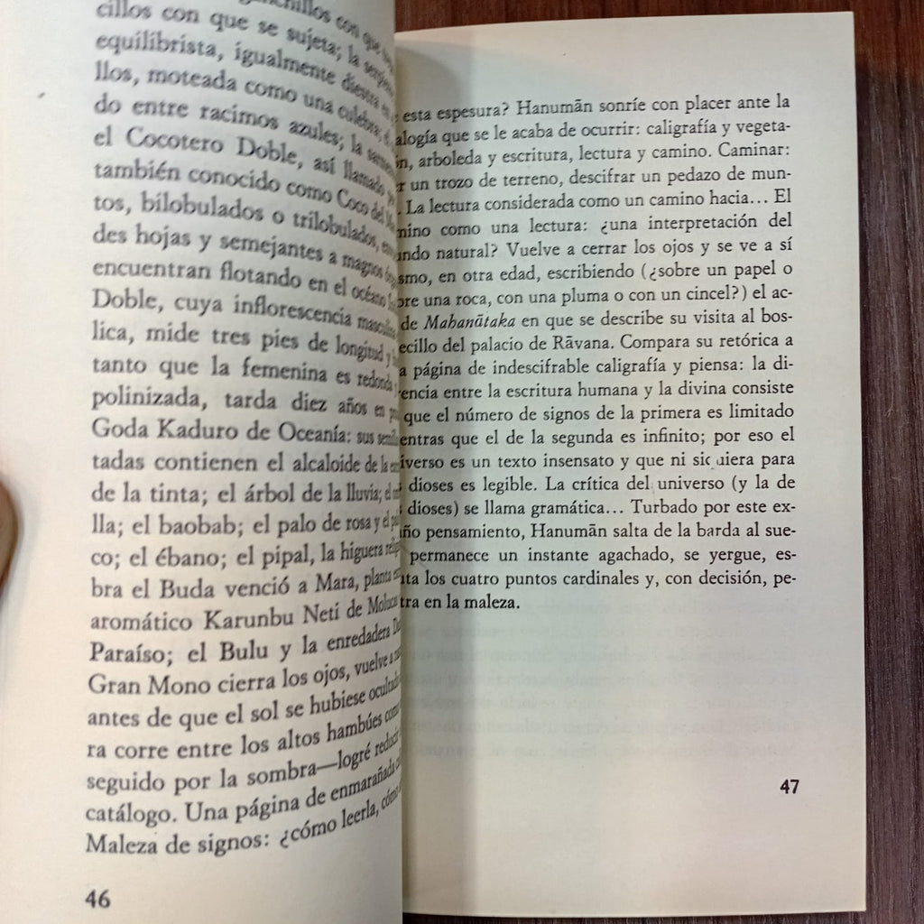 El mono gramático