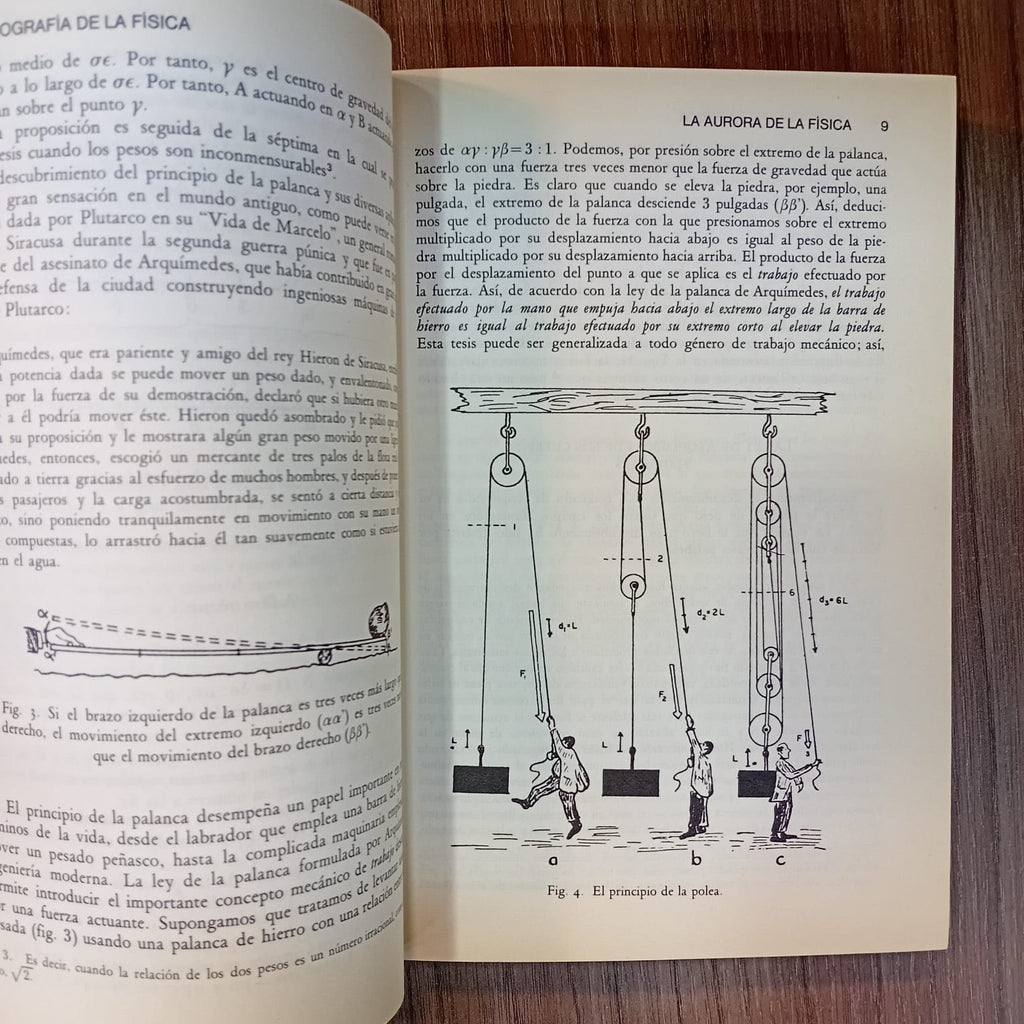 Biografía de la física