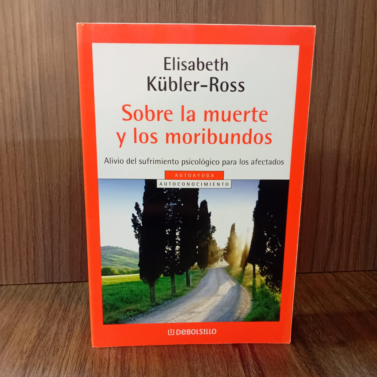 Sobre la muerte y los moribundos