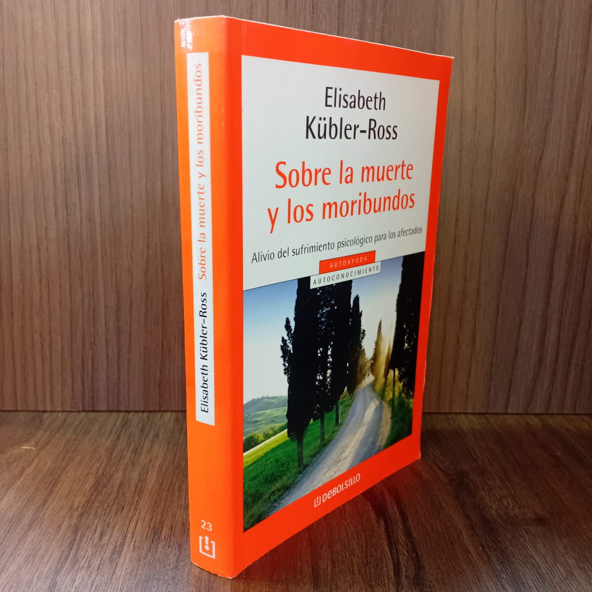 Sobre la muerte y los moribundos