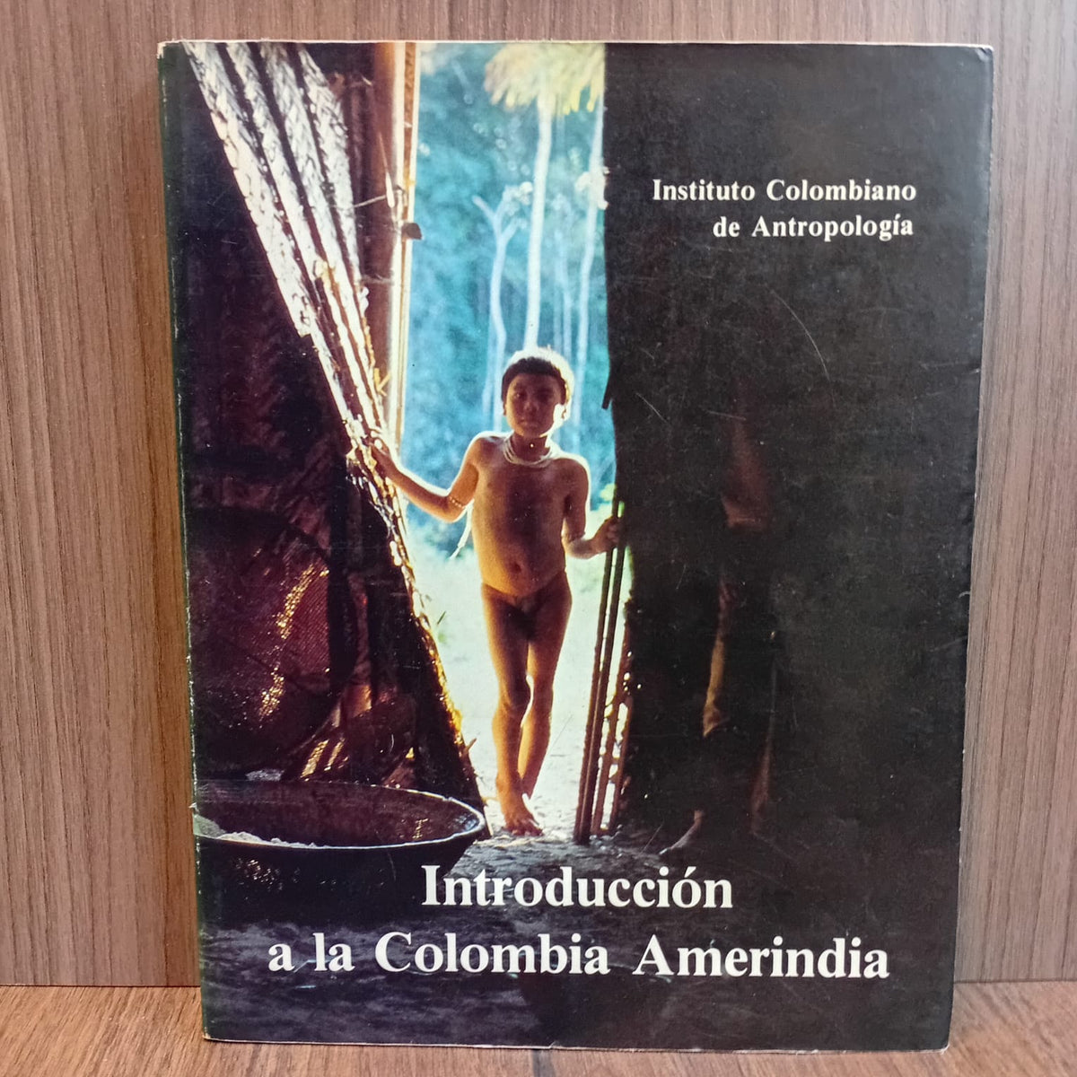 Introducción a la Colombia amerindia