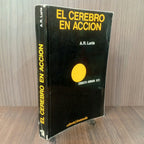 El cerebro en acción