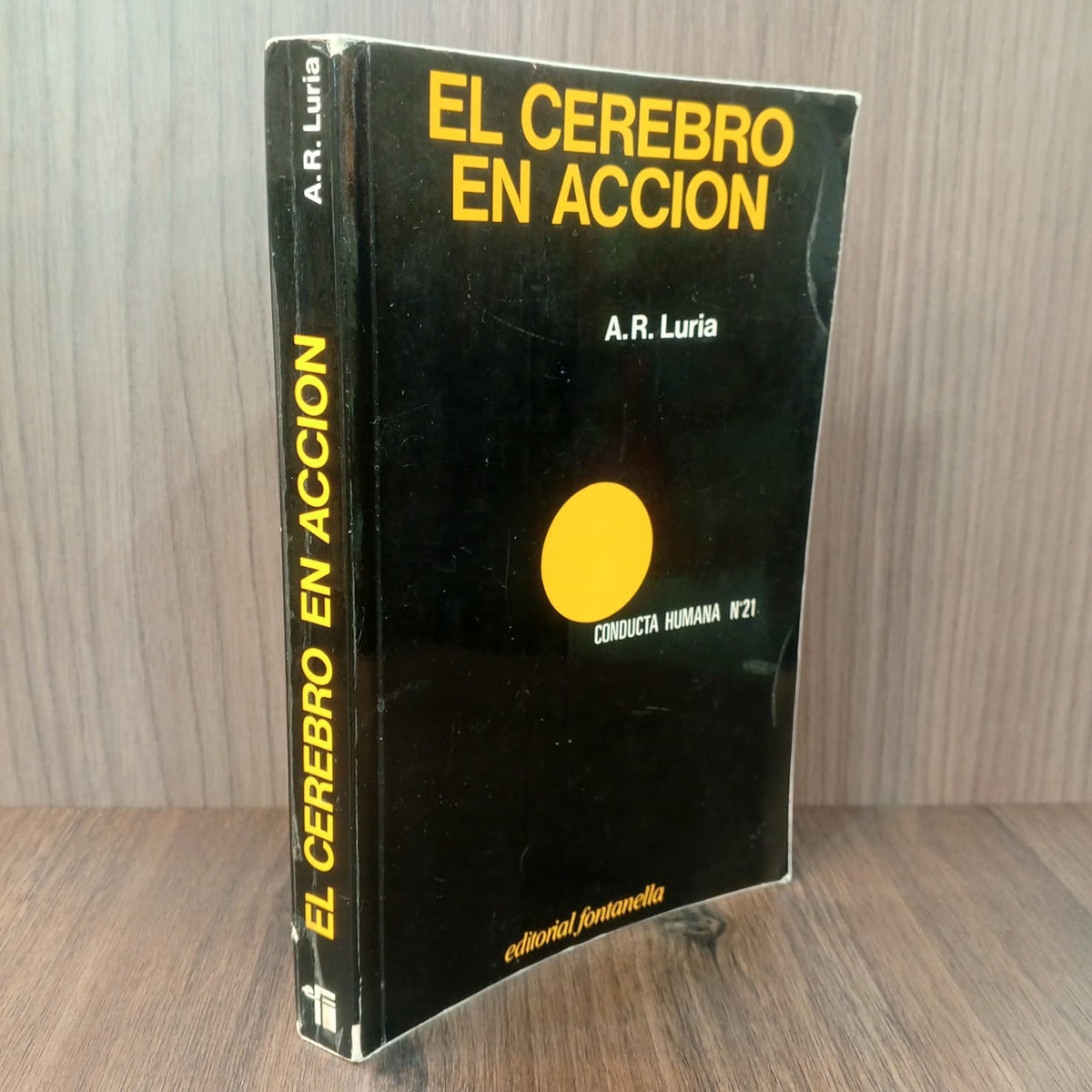 El cerebro en acción