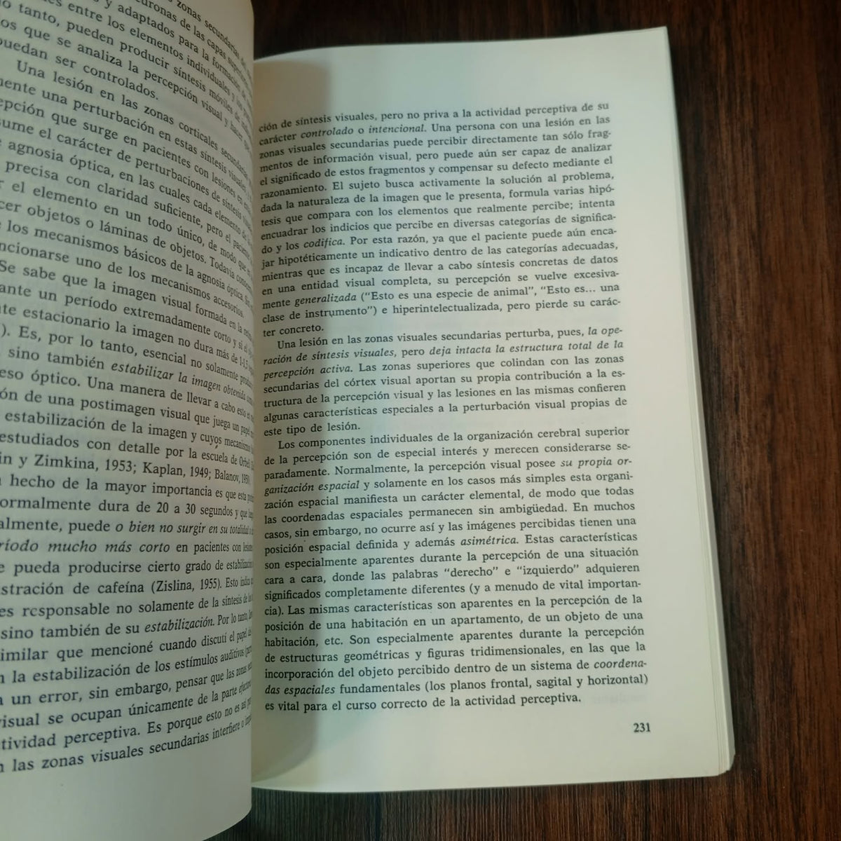 El cerebro en acción