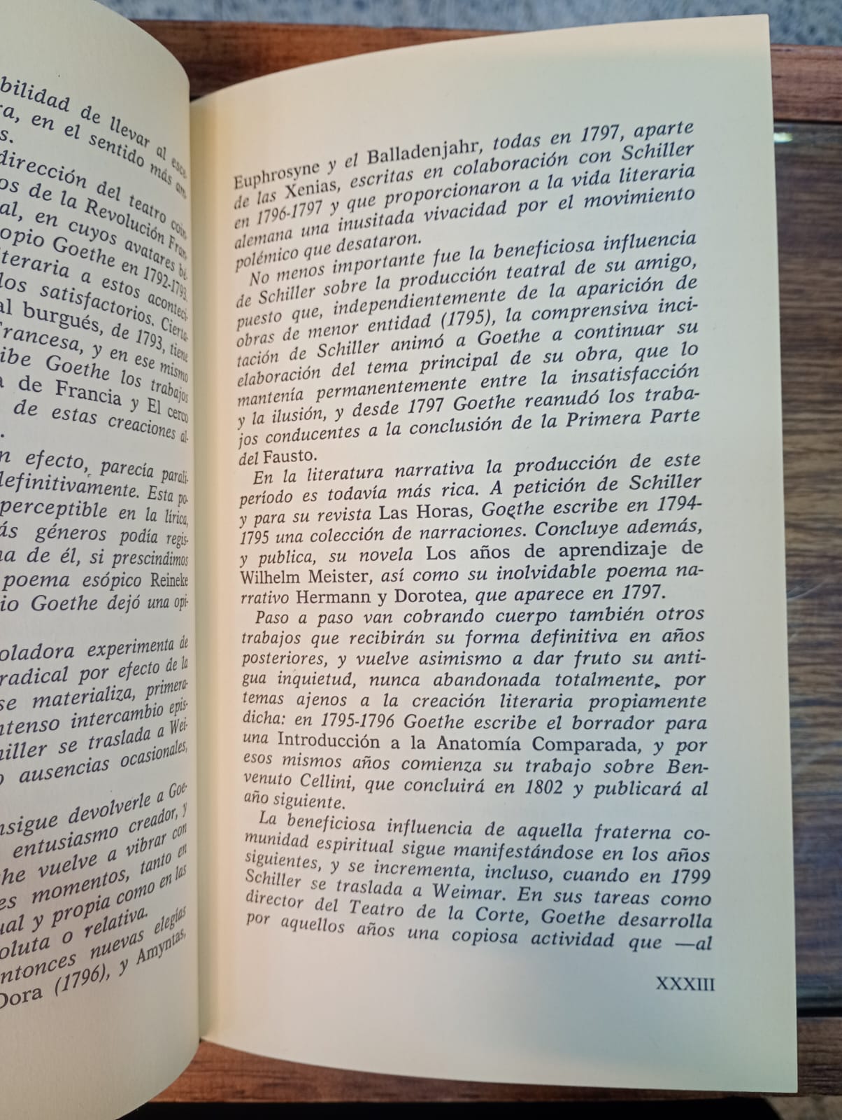 Los sufrimientos del joven Werther. Johann W. Goethe