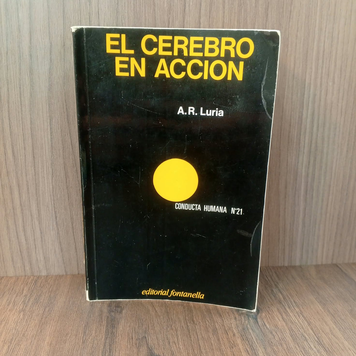 El cerebro en acción